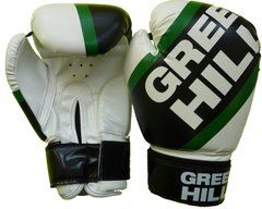 Перчатки боксерские "PASSION" Green Hill BGB-2221-10