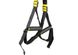 TRX PRO 4 loops (P4, Pro System)