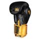 Боксерські рукавиці Phantom APEX Black/Gold 10 унцій (PHBG2214-10)