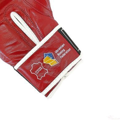 Перчатки боксерские Green Hill KNOCK лицензированные ФБУ KBK-2105-R (красные) - 12