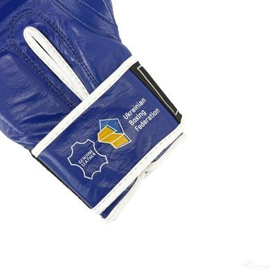 Перчатки боксерские Green Hill KNOCK лицензированные ФБУ KBK-2105-BL (синий) - 12