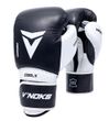 Боксерские перчатки V`Noks Aria White 10 ун. (40218)