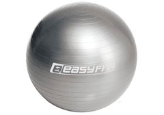 Мяч для фитнеса EasyFit 75 см серый