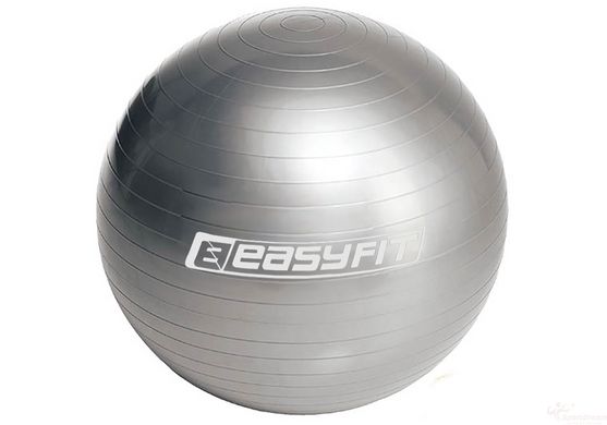 Мяч для фитнеса EasyFit 75 см серый