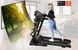 Electric treadmill THUNDER ICON-D-BLACK