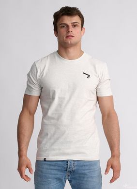 Light gray T-shirt IPPON GEAR BIG PRINT XS