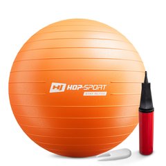 Фитбол Hop-Sport 65см оранжевый + насос 2020 HS-R065YB orange (5902308223486)