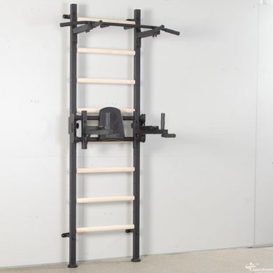 Шведская стенка Ладас Master Wood черный + Бесплатная доставка