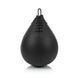Пневмогруша боксерская Fairtex SB1 Black