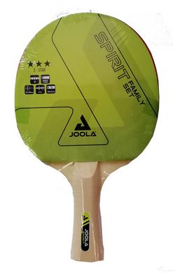 Набір для настільного тенісу Joola Family 4 Bats 10 Balls (54810)