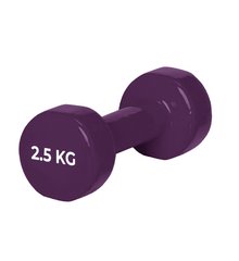 Гантеля PowerPlay виниловая 2.5 кг фиолетовая (PP_4125_2.5kg)