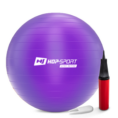 Фітбол Hop-Sport 65см фіолетовий + насос 2020 HS-R065YB violet (5902308218925)