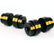 Гантелі розбірні Besport PowerPro 2х31кг