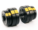 Гантелі розбірні Besport PowerPro 2х31кг