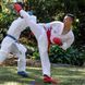 Защита голени и стопы с лицензией WKF синий SMAI SM P102 - S