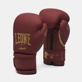 Перчатки боксерские Leone Mono Bord 10 ун.