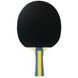 Table tennis racket Joola Team Master (52001)