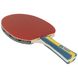 Table tennis racket Joola Team Master (52001)