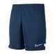 Шорти Nike Dri-Fit Academy CW6107-451 - M