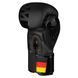Боксерские перчатки Phantom Germany Black 10 унций (PHBG2189-10)