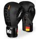 Боксерские перчатки Phantom Germany Black 10 унций (PHBG2189-10)